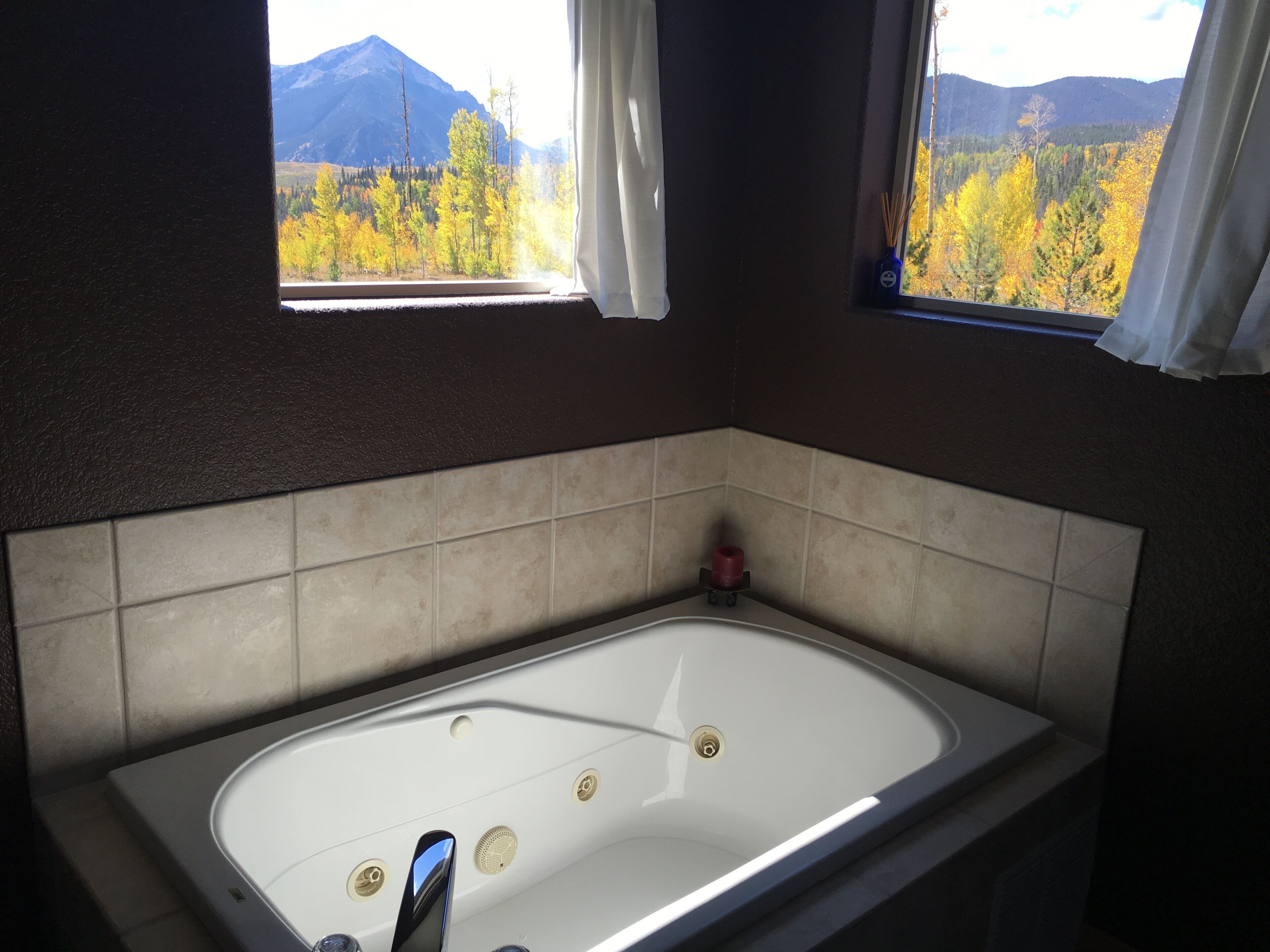 Mountain Getaway backing to National Forest open space!