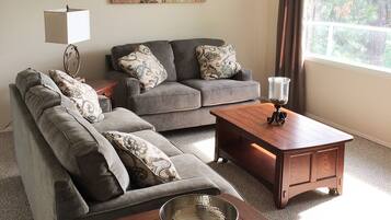 Télévision, cheminée, lecteur de DVD, baby-foot