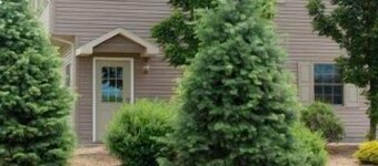 Weekly discounts available!