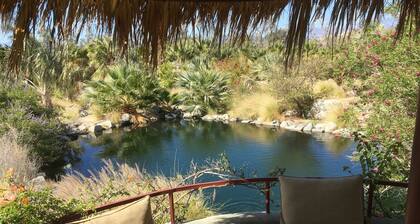 ONE BEDROOM HOUSE located on 5 acres in a serene PRIVATE Palm Oasis!!