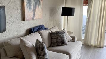 Älytelevisio, kirjoja