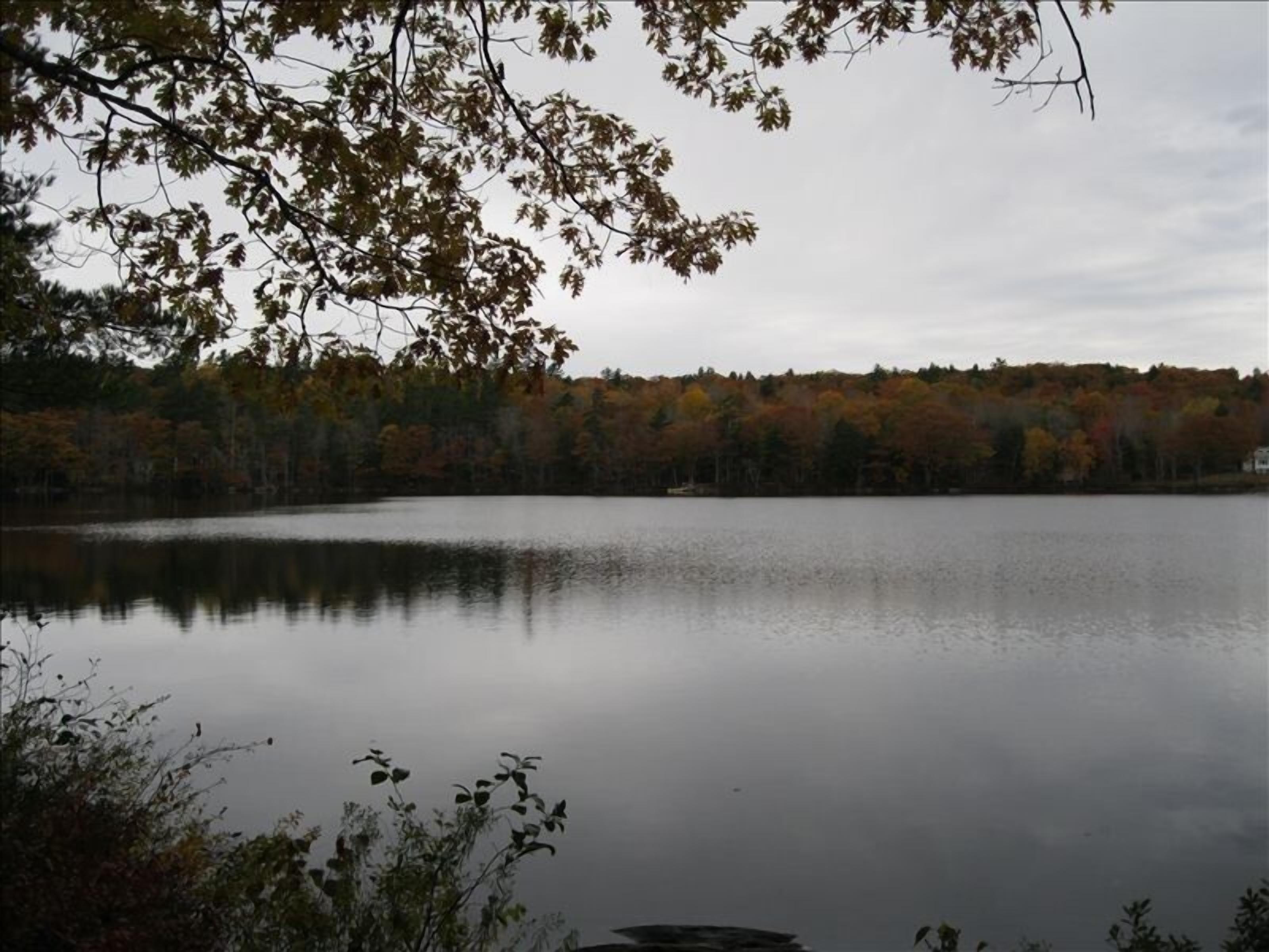 A calm lake surrounded by trees with autumn foliage.