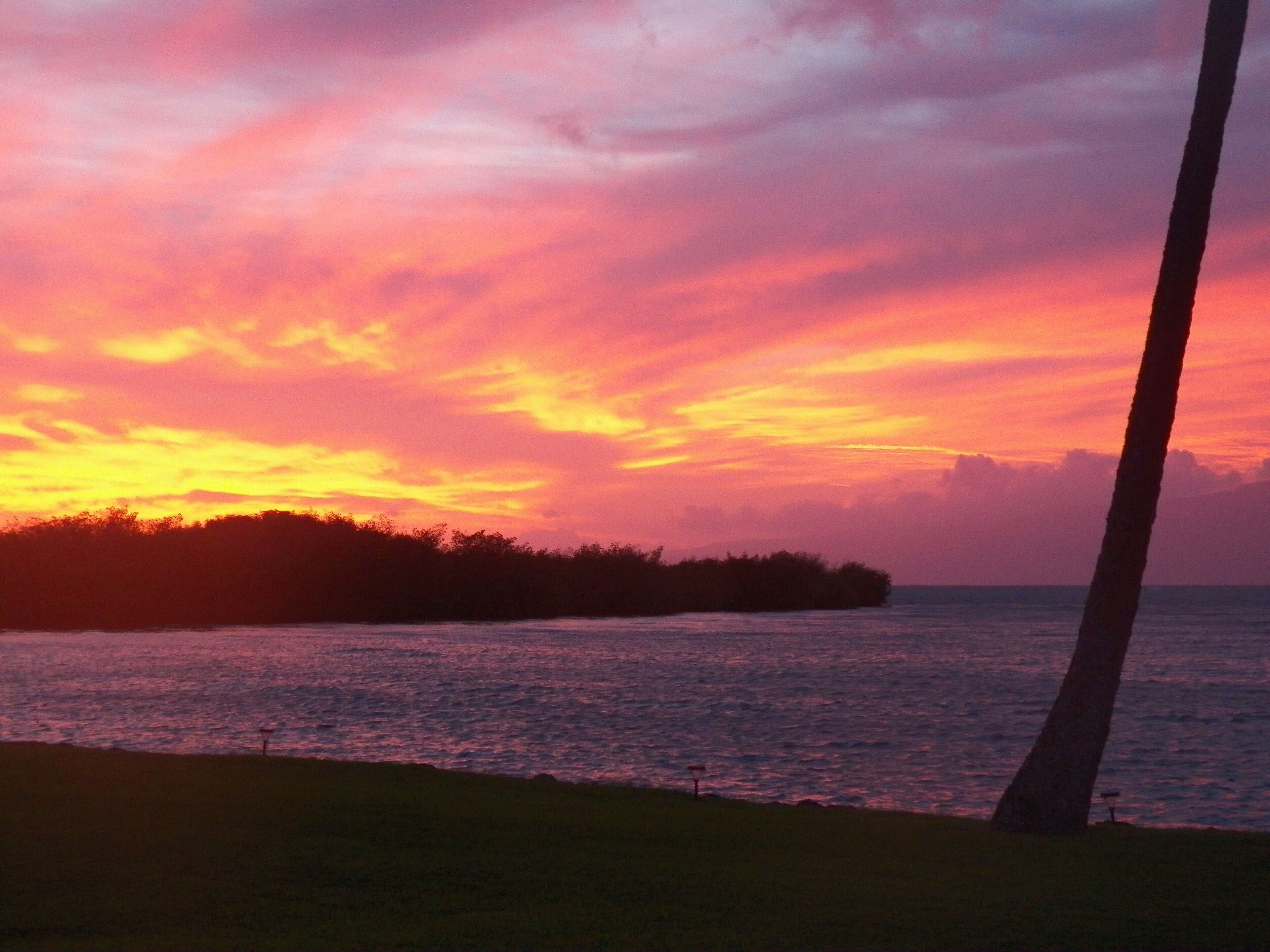 Relax at the Water's Edge on the Friendly Island of Moloka'i