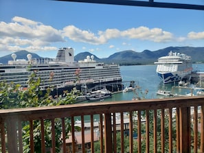 Property grounds - VIEWTOPIA - Downtown Ketchikan (Ketchikan)