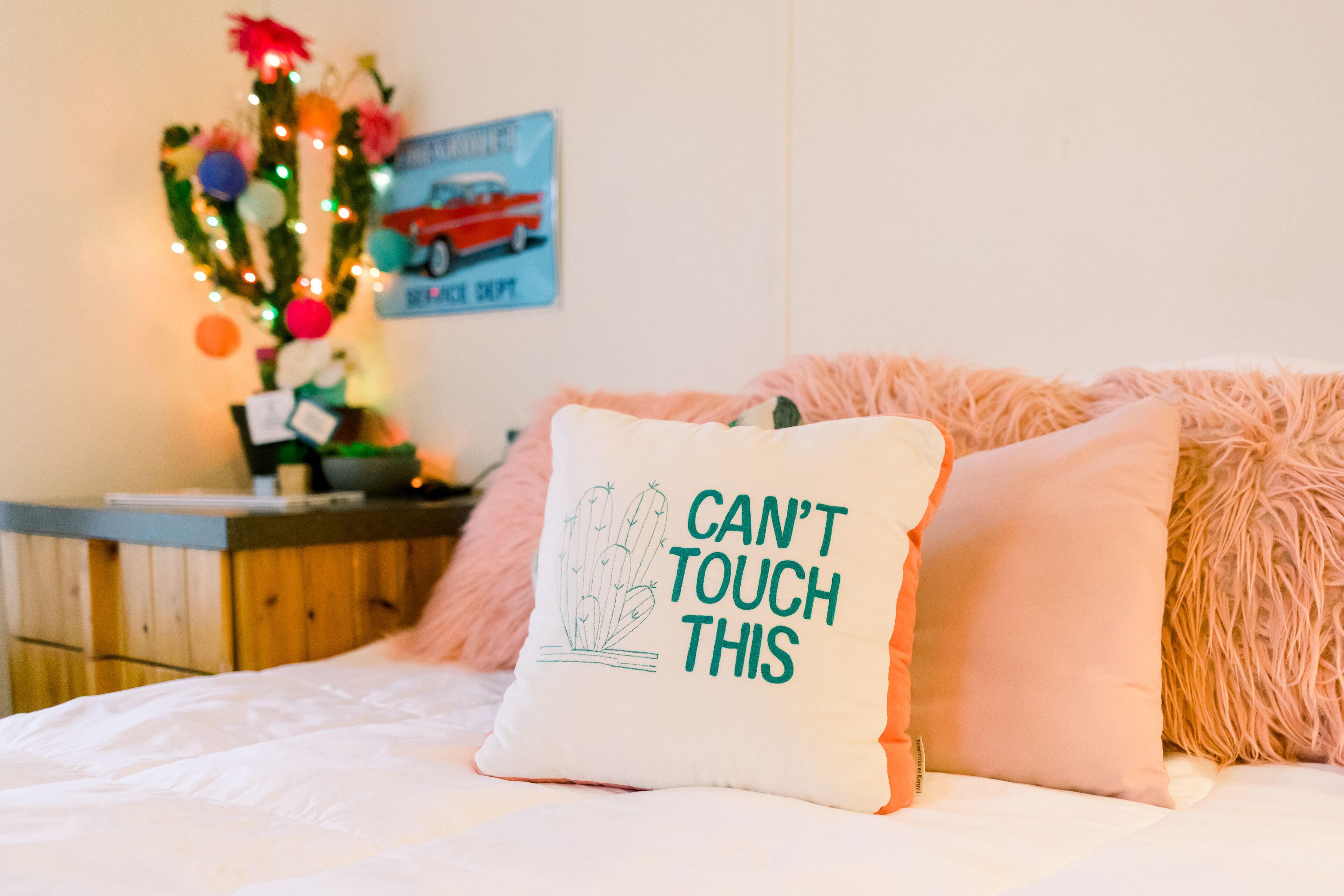 The Cozy Cactus: 1 Room Studio Tiny Home 2.6miles from the Frio River