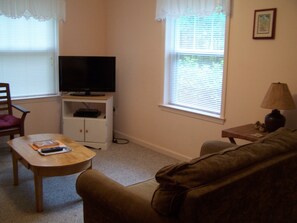 Smart TV, DVD player, books