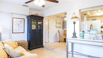 Smart TV, lareira, livros, biblioteca musical