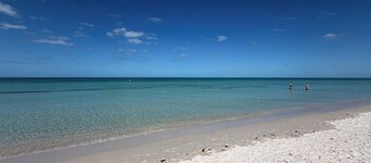 20-30 min gange til Vanderbilt Beach, nær shopping, spisesteder; Kjeledyrvennlig!