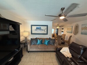 Smart-tv, eldstad, böcker och ett musikbibliotek