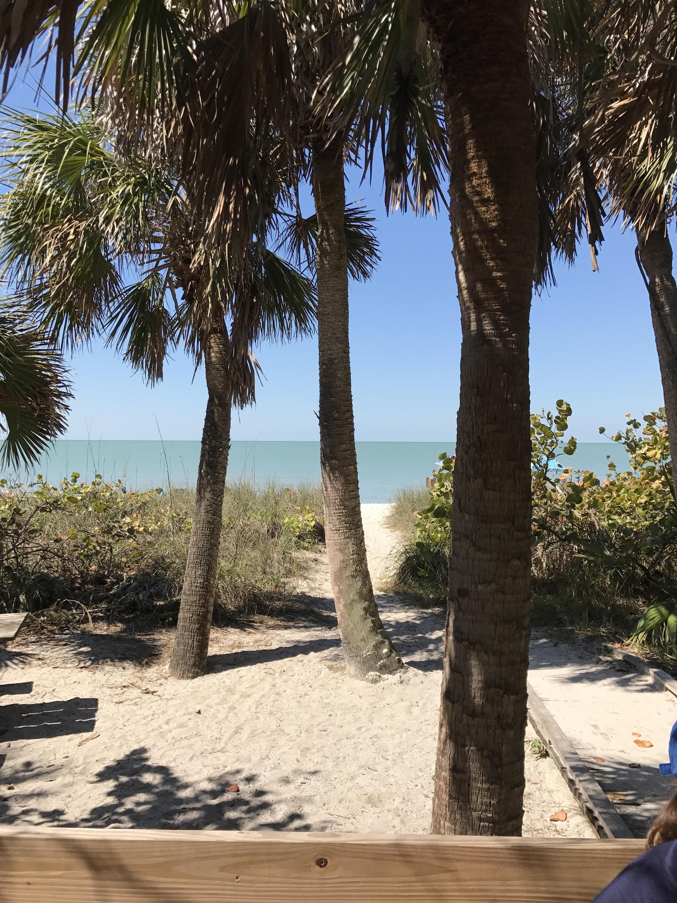 Ranta lähistöllä, aurinkotuoleja, rantapyyhkeitä