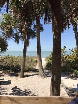 Nära stranden, solstolar och strandhanddukar