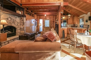 TV, fireplace, books, music library