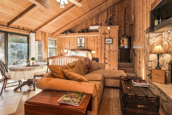 TV, fireplace, books, music library