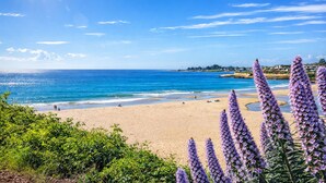 Ein Strand mit klarem, blauem Wasser, sandigem Ufer und violetten Blumen im Vordergrund.
