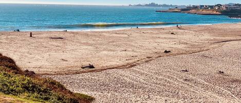 On the beach, sun loungers, beach towels