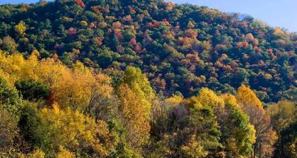 Acogedora casa de montaña cerca de Covington, Virginia, The Greenbriar y Homestead