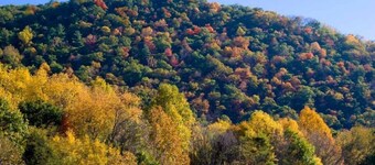 Cozy Mountain home near Covington, Virginia, The Greenbriar and Homestead