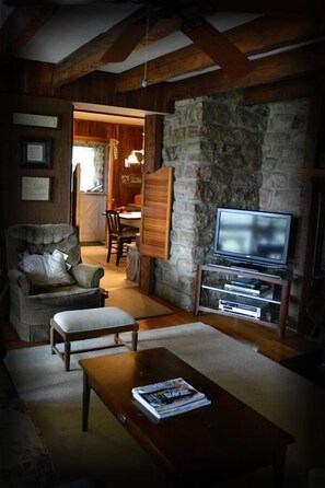 Flat-screen TV, fireplace, video games, DVD player