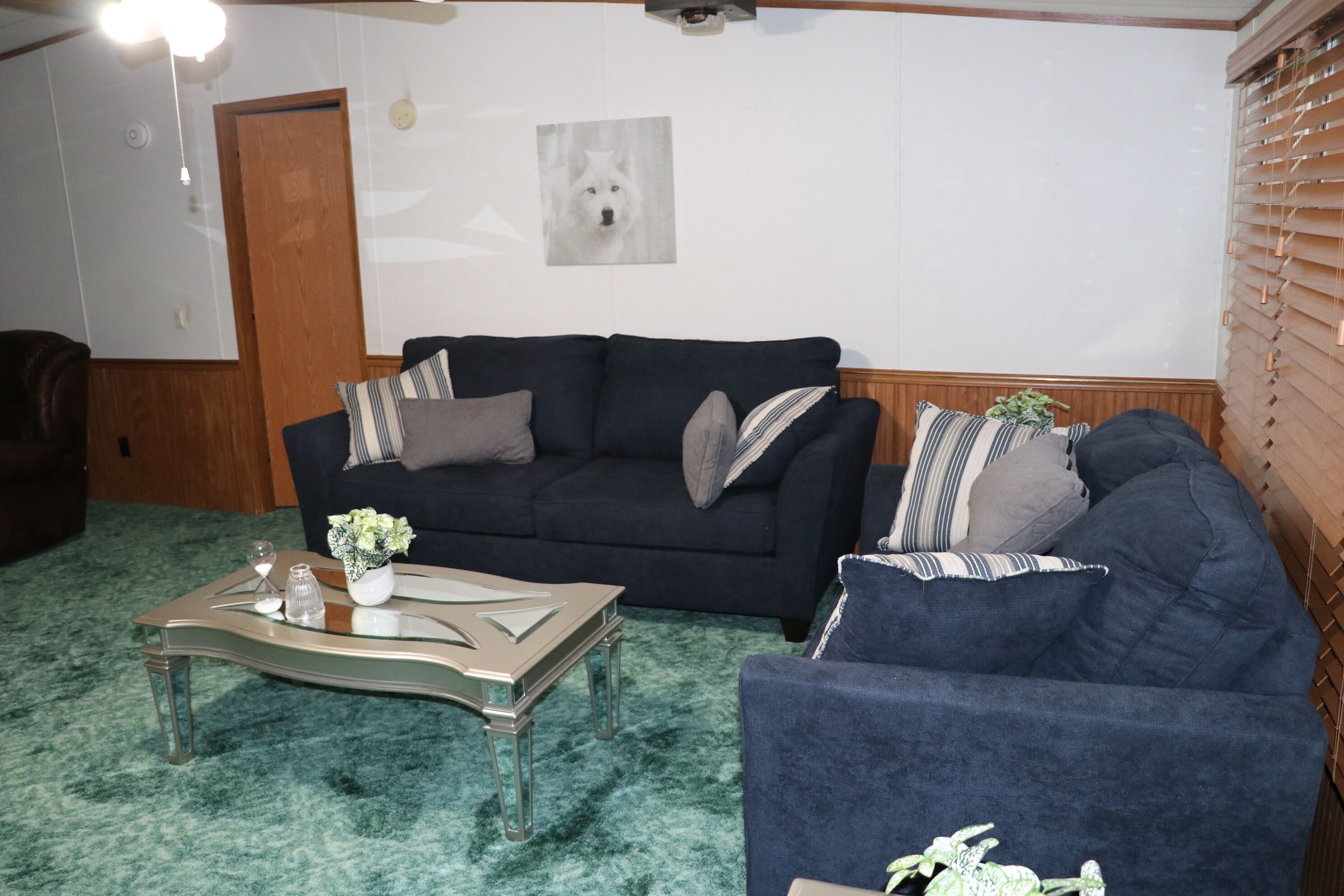 5-Bedroom, 3-Bath Family Cabin