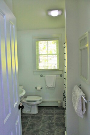 Combined shower/bathtub, soap