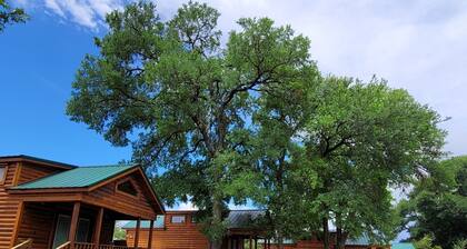 Beautiful Log cabin overlooking a meadow