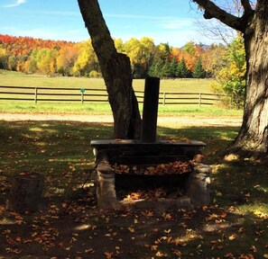Terrein van de accommodatie