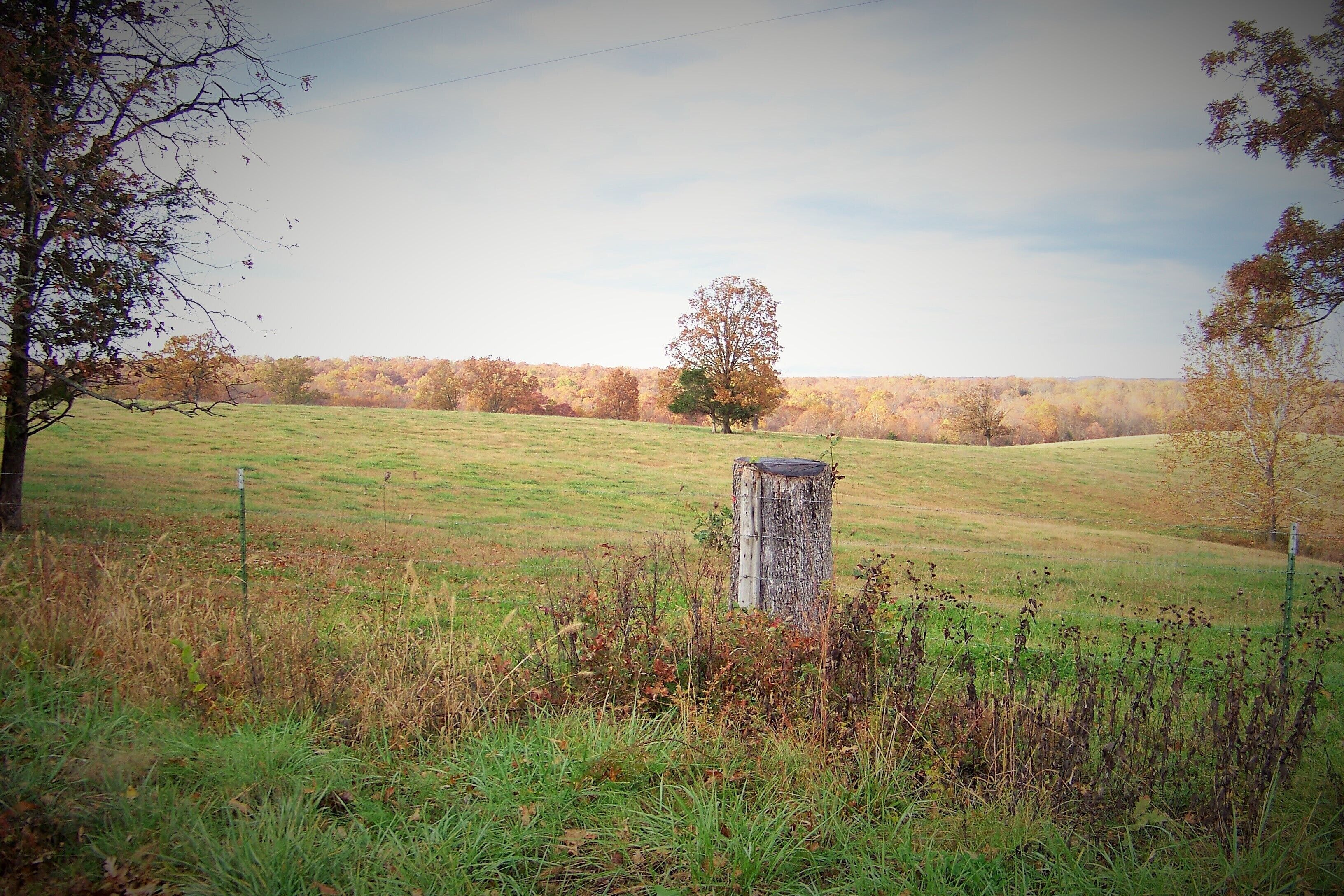 A rural landscape with a grassy field, a wooden post, and a tree in the distance.