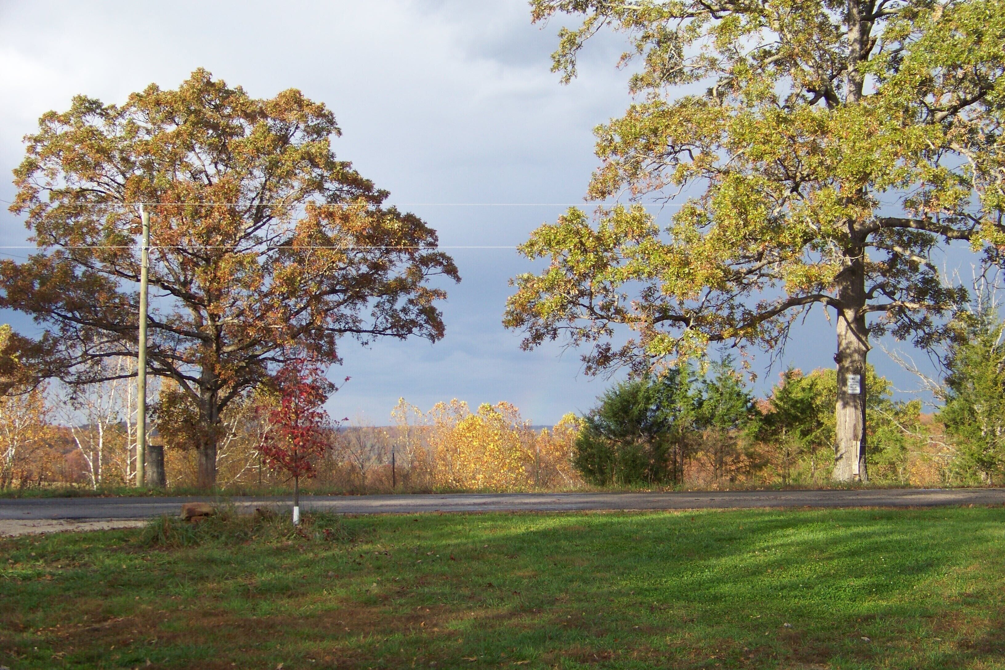 A road with trees on either side, a grassy area in the foreground, and a cloudy sky.