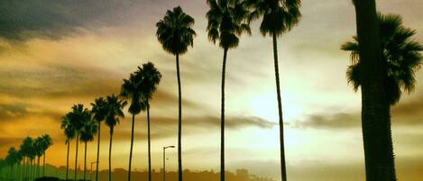 Beach nearby, sun-loungers, beach towels