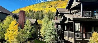 New Upscale Condo. Mountain Views. Near New Lift & Ski School.