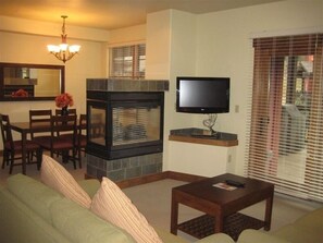 Älytelevisio, takka, DVD-soitin, videokirjasto