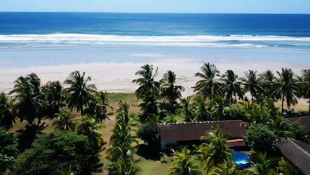 A beach view with palm trees and a clear sky.