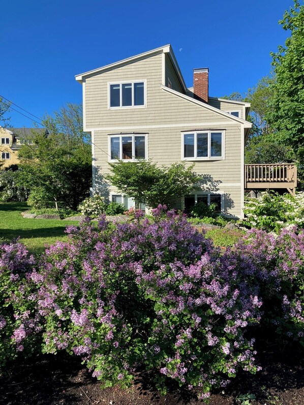 A two-story house with a deck, surrounded by a garden with purple flowers.