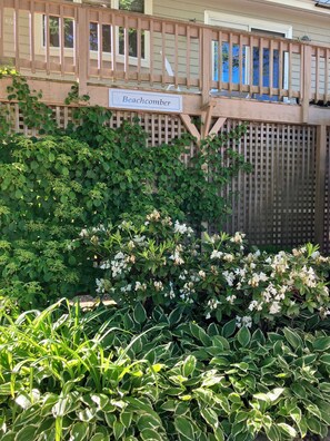 Exterior detail - Long Beach-Gloucester-2 minute walk to Beach! Large yard & lush gardens. Pup ok (Gloucester)