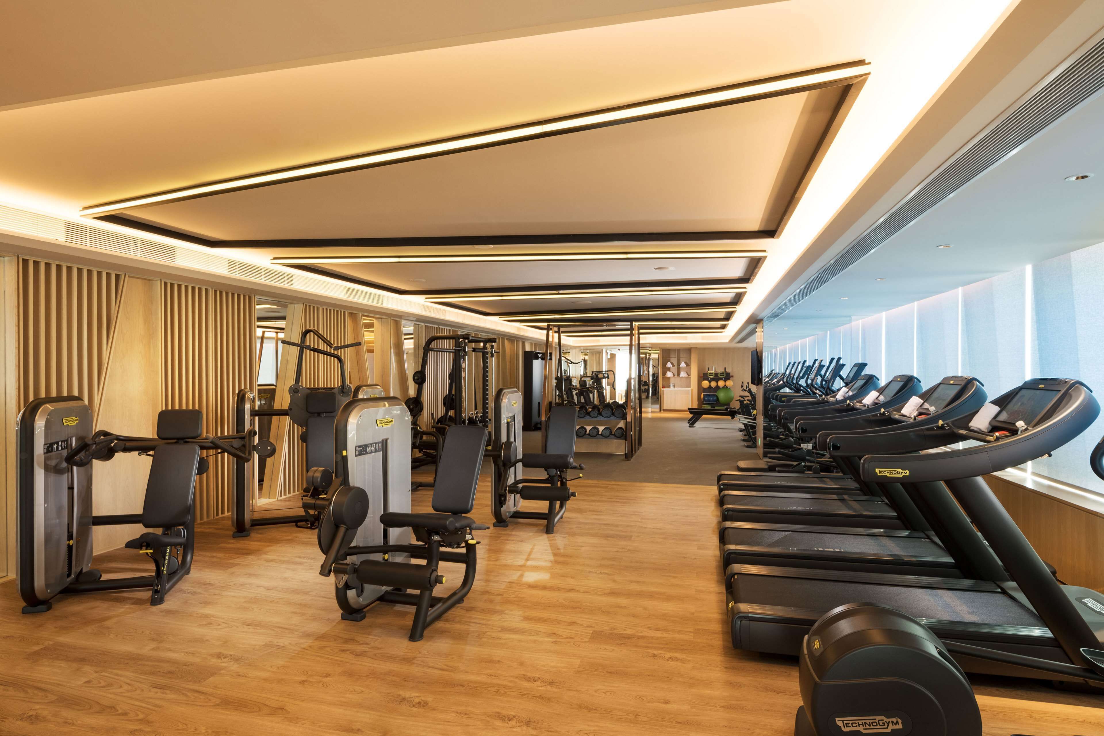 Un gimnasio moderno con diversos equipos de ejercicio, incluyendo cintas de correr y máquinas de pesas, dispuesto en un espacio amplio.