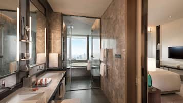 Separate tub and shower, free toiletries, hair dryer, bathrobes