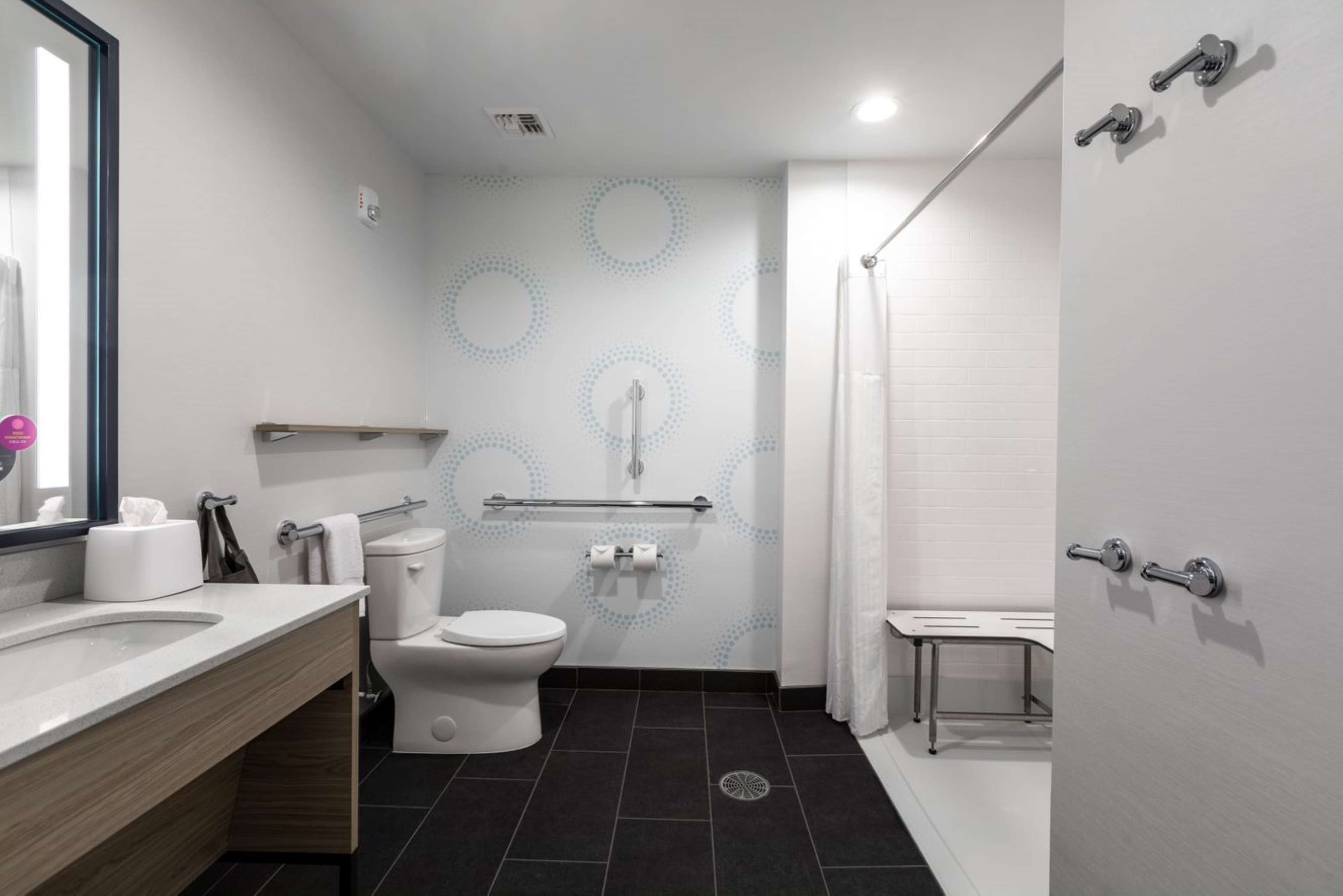 room, 1 king bed, accessible (roll-in shower) | bathroom | shower, free toiletries, hair dryer, towels