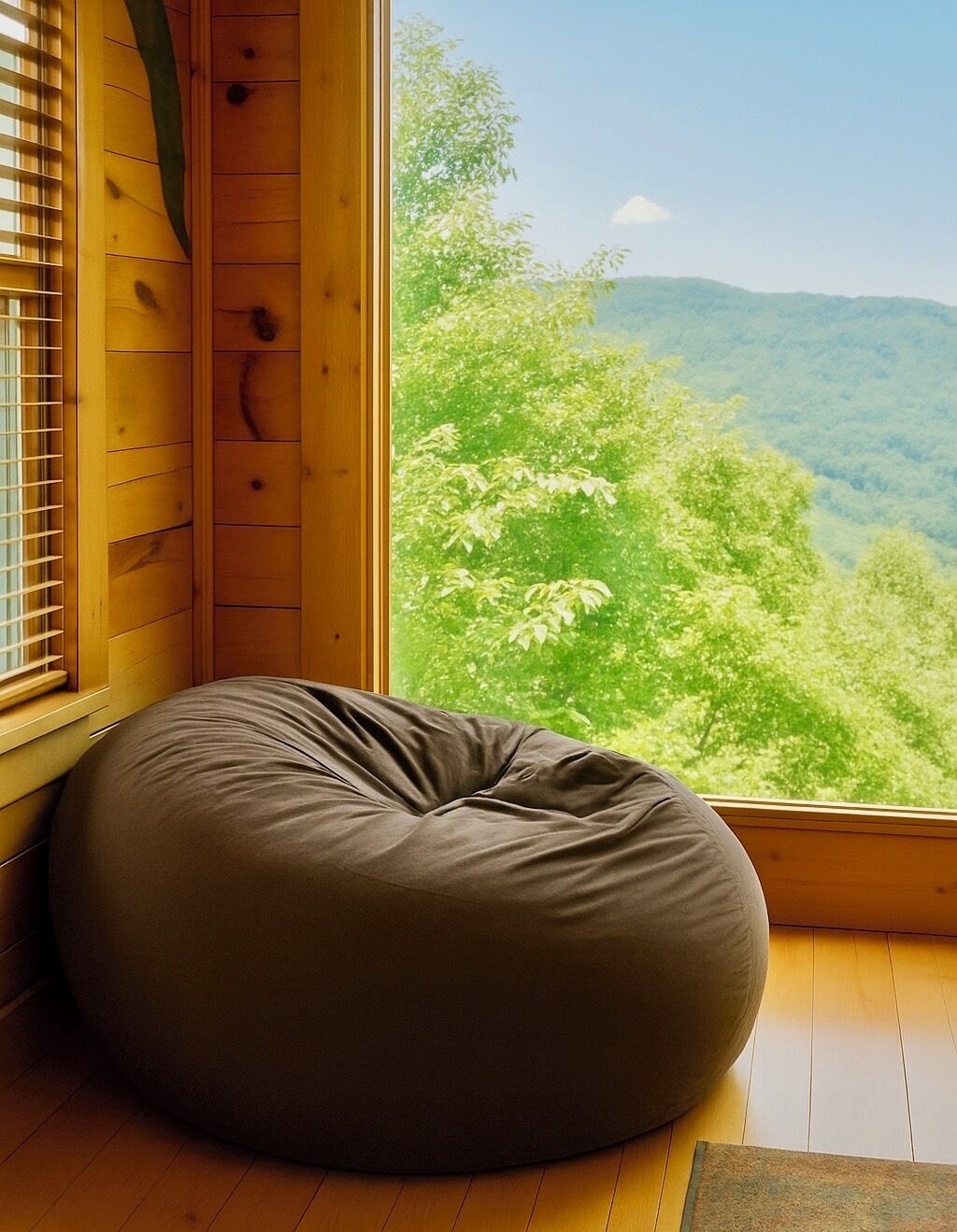 A room with a wooden floor, a window with blinds, and a view of a forested mountain range.