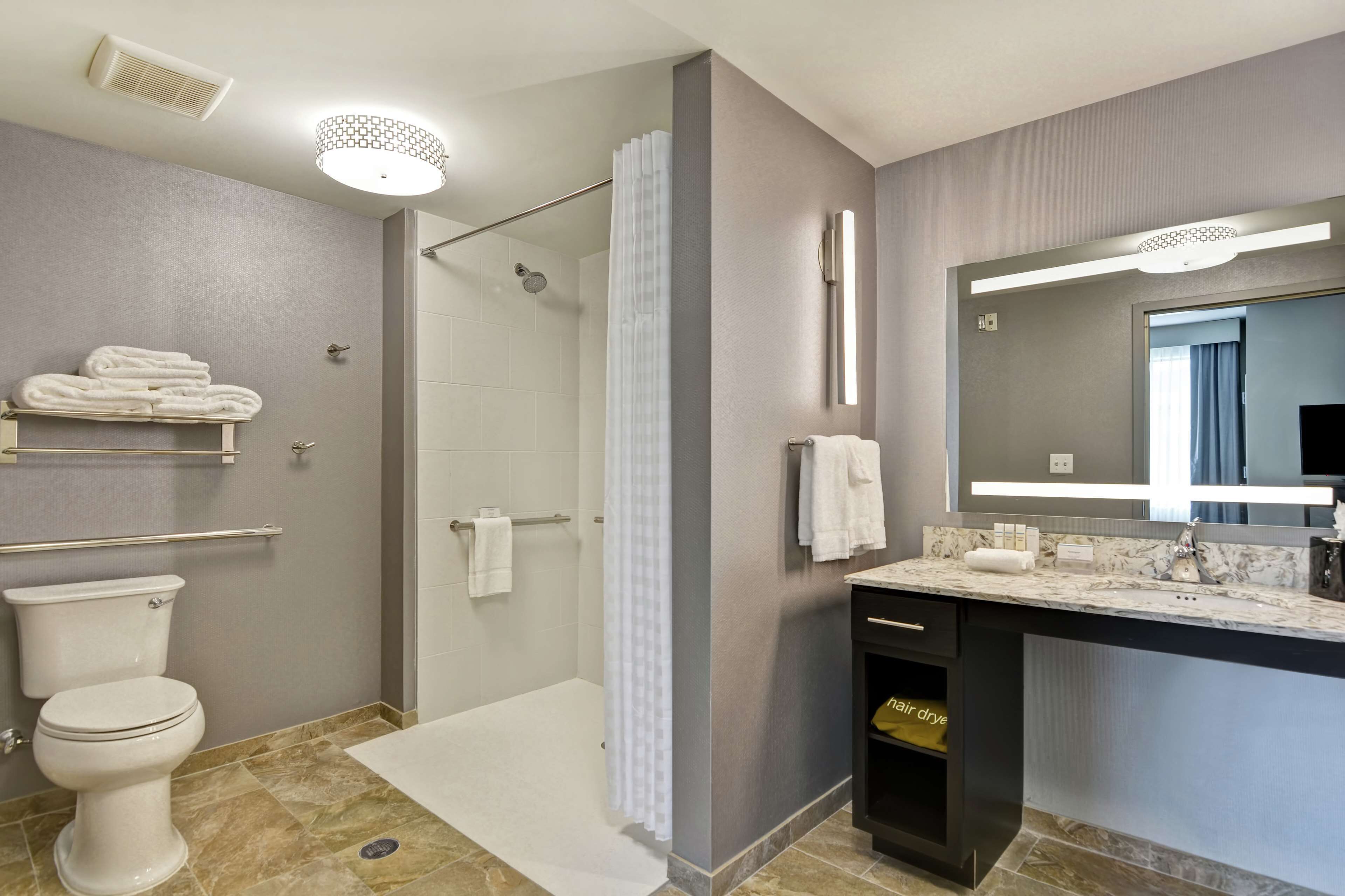 A modern bathroom with a shower, toilet, and vanity with a mirror.