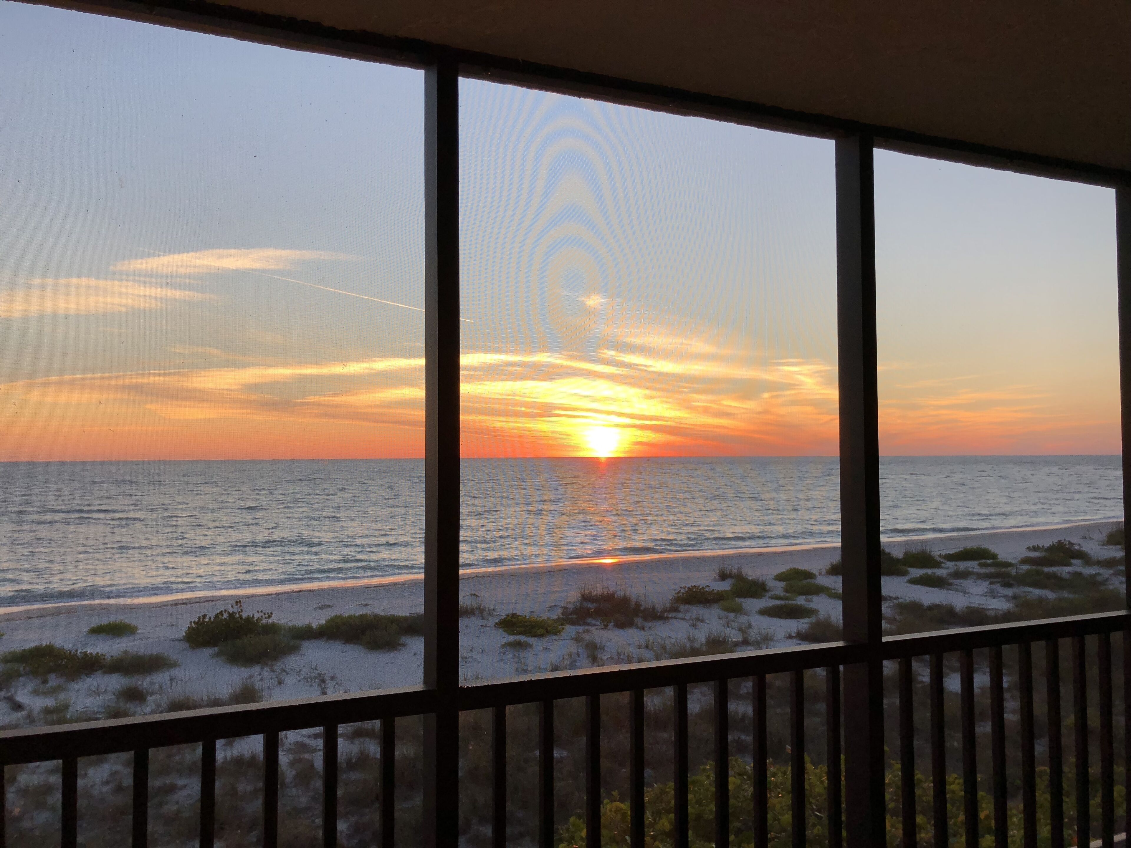 Hidden Paradise on the west coast of Florida.