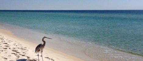 Una spiaggia nelle vicinanze