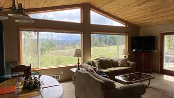 TV, DVD player, books, video library