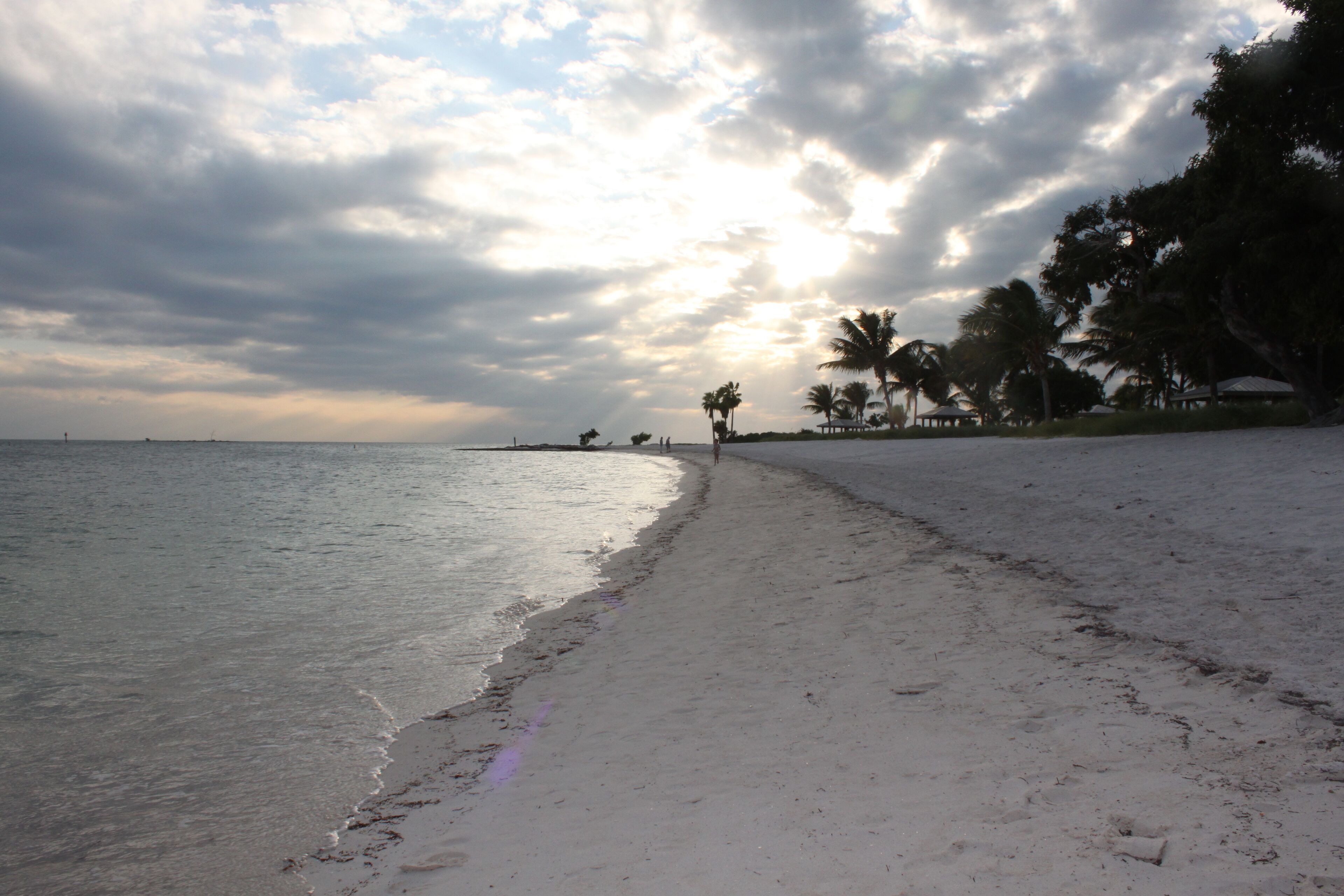 Une plage avec un rivage sablonneux, des palmiers et un horizon lointain.