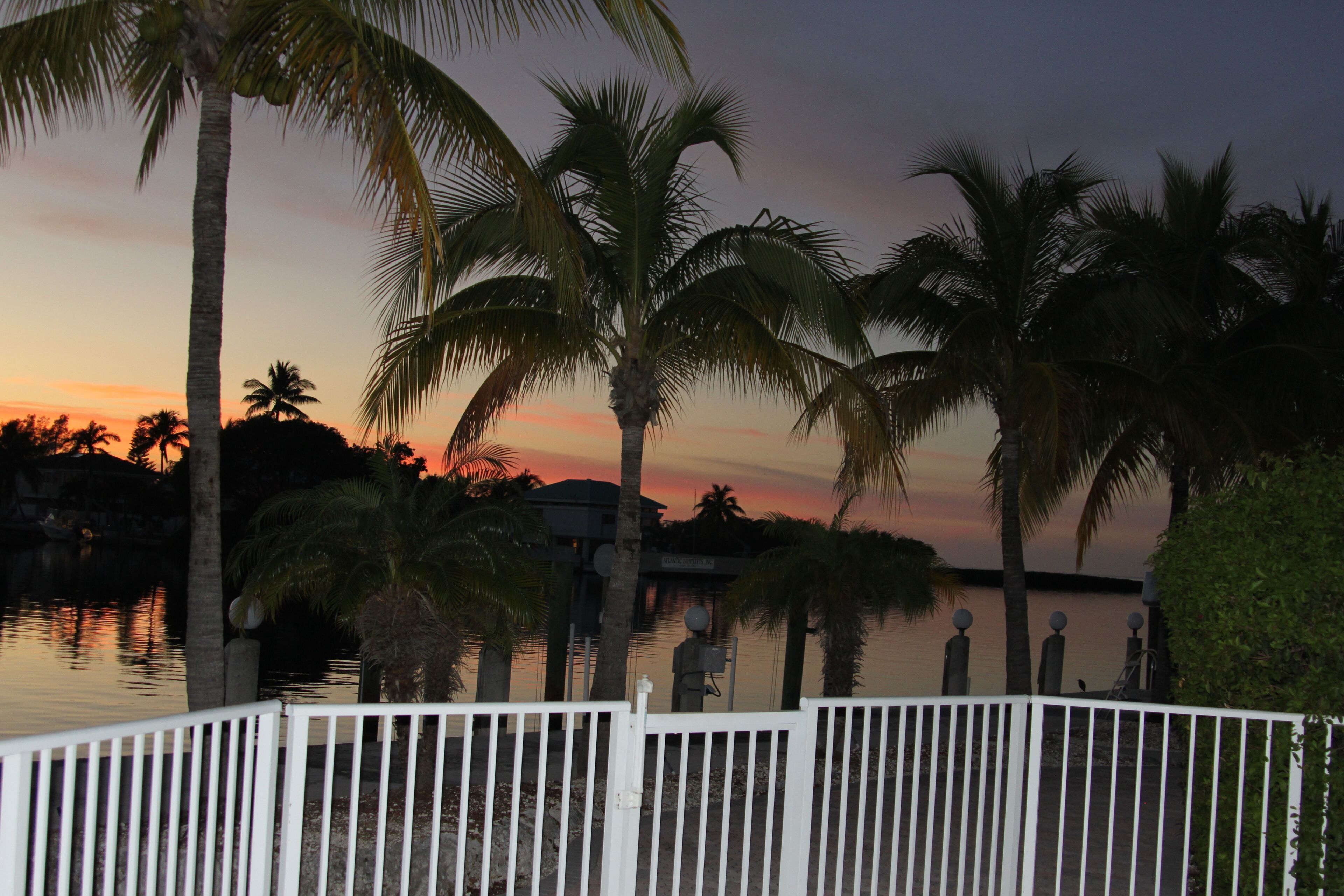A sunset view with palm trees and a water body, likely a resort or hotel setting.