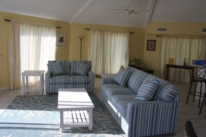 Flat-screen TV, DVD player, video library