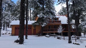 Een houten lodge met een rode deur, omringd door met sneeuw bedekte bomen.