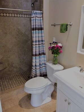 Shower, hair dryer, towels