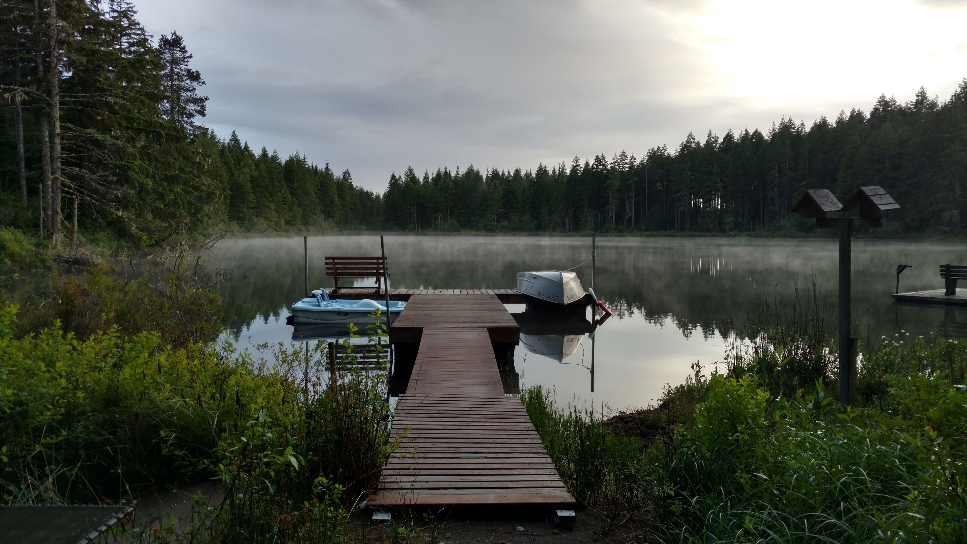 A wooden dock extending into a calm lake surrounded by dense forest.