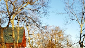 A cabin with a green roof and wooden exterior, surrounded by trees and a grassy area.