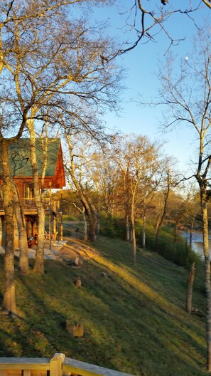 Property grounds - Cabin on Water!!GORGEOUS! Best property on the Caddo River In Glenwood Arkansas! (Glenwood)